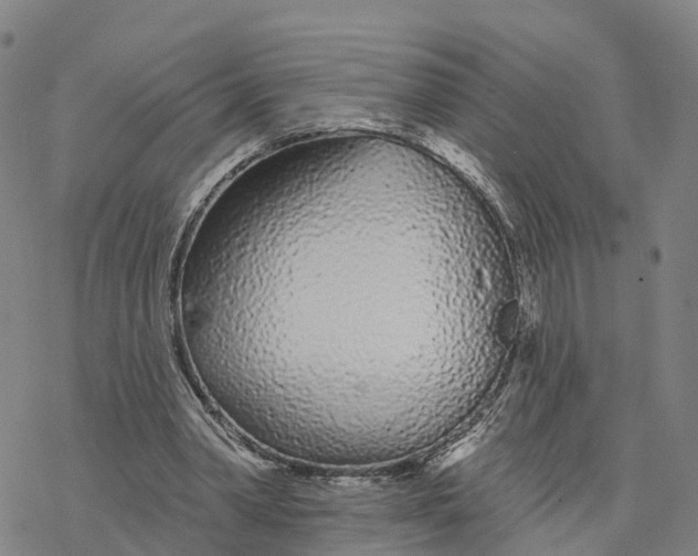 X0000076420390200610271713