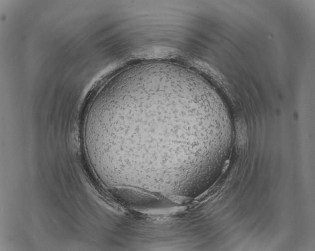 X0000076420392200610271713