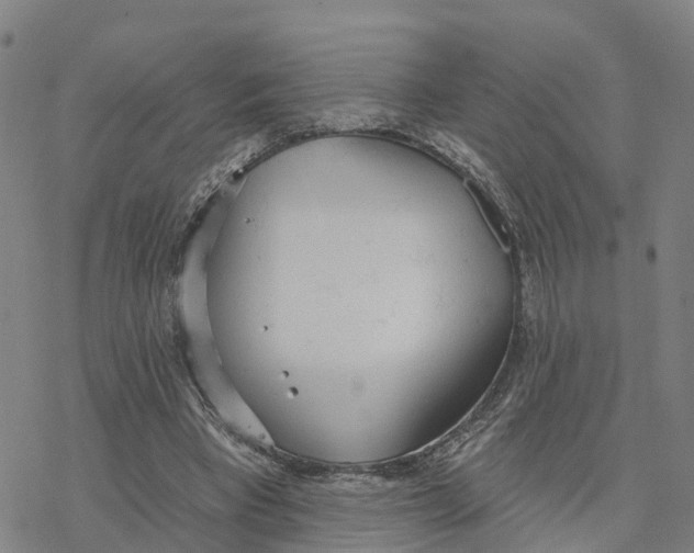 X0000076420393200610271713