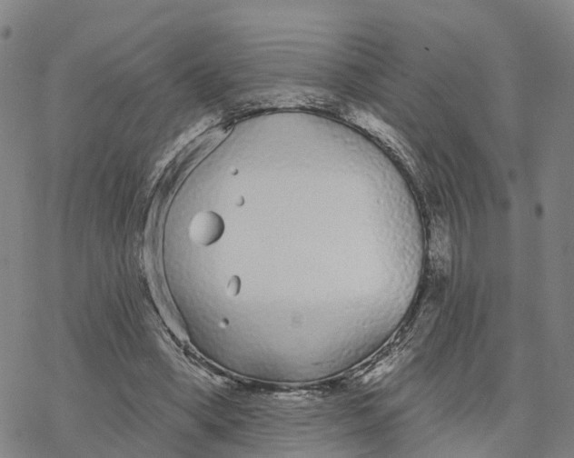 X0000076420394200610271713