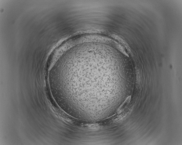 X0000076420395200610271713