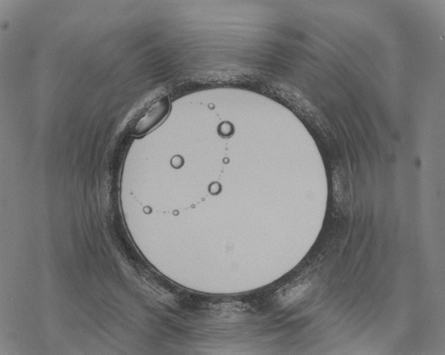 X0000076420396200610271713