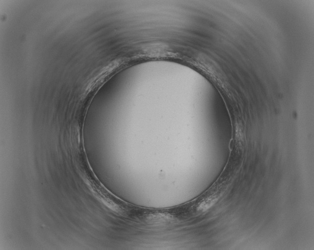 X0000076420397200610271713