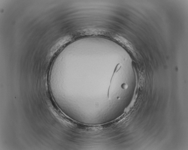 X0000076420398200610271713