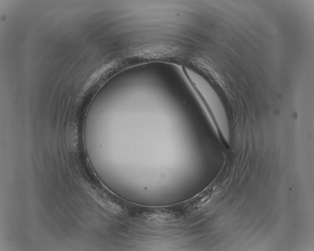 X0000076420400200610271713