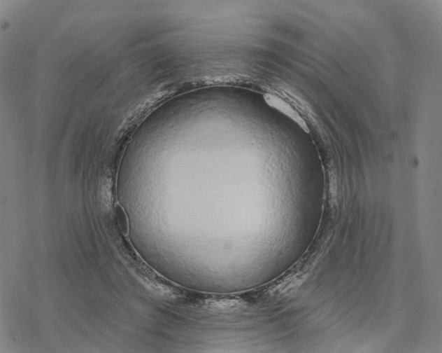 X0000076420401200610271713