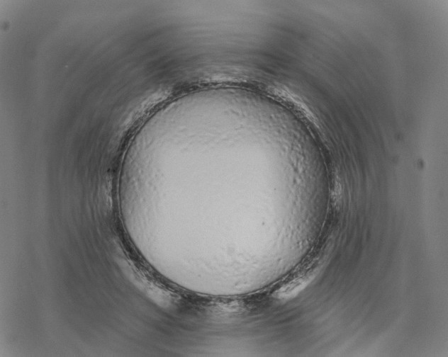 X0000076420402200610271713