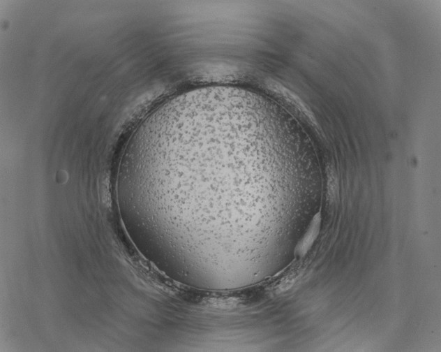 X0000076420403200610271713