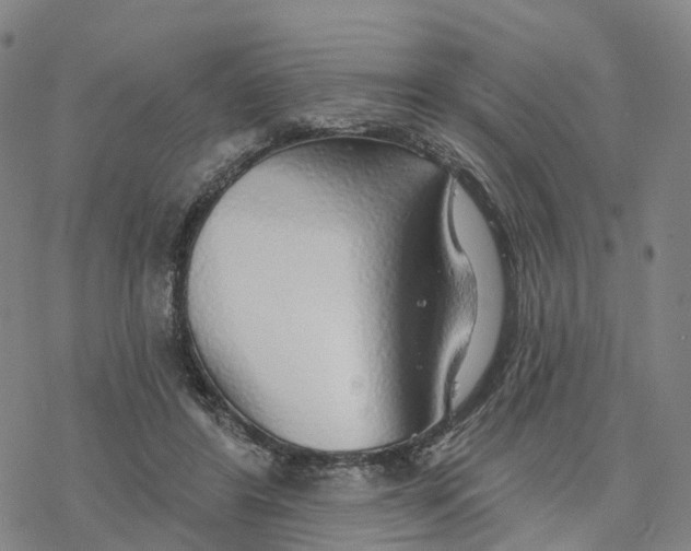 X0000076420404200610271713