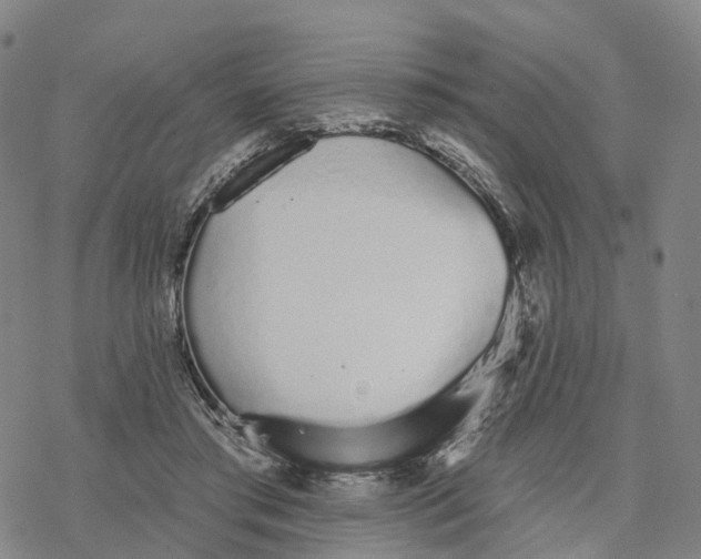 X0000076420405200610271713