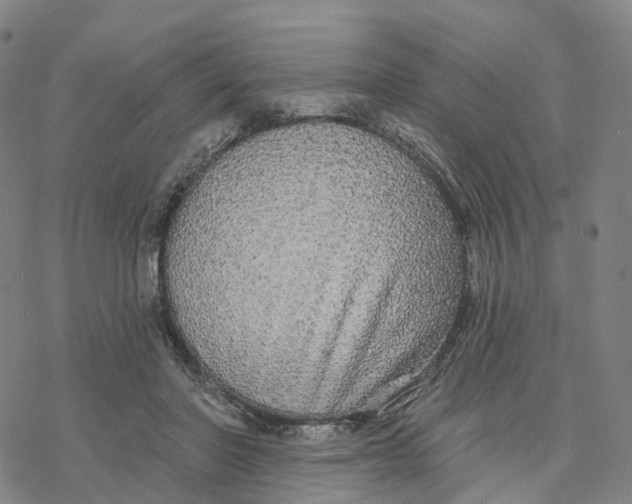 X0000076420406200610271713