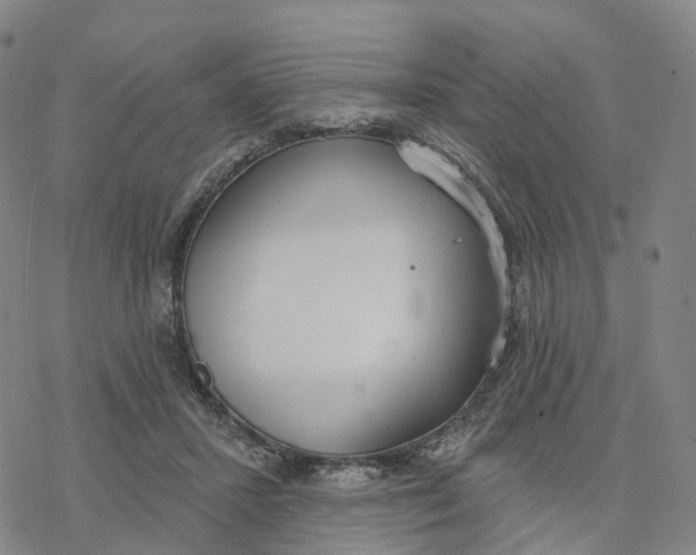 X0000076420407200610271713