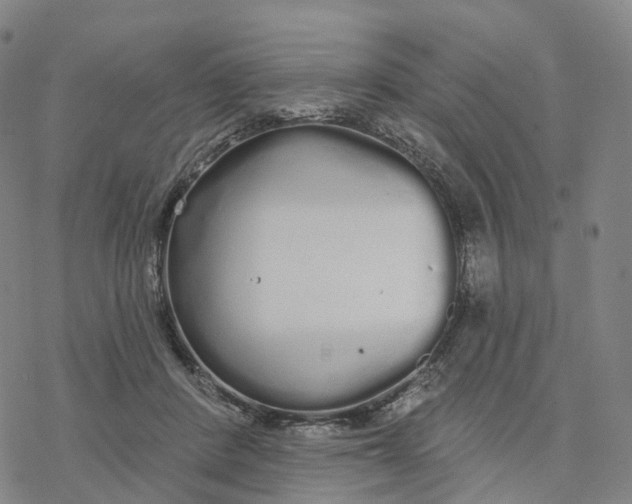 X0000076420408200610271713