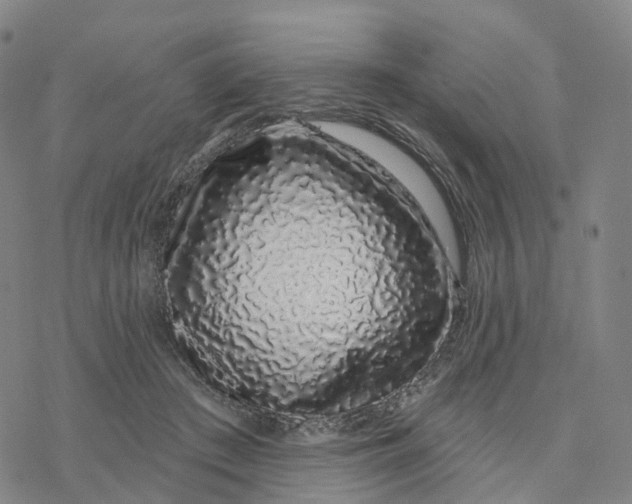 X0000076420409200610271713