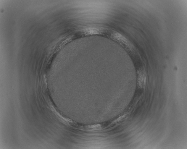 X0000076420410200610271713