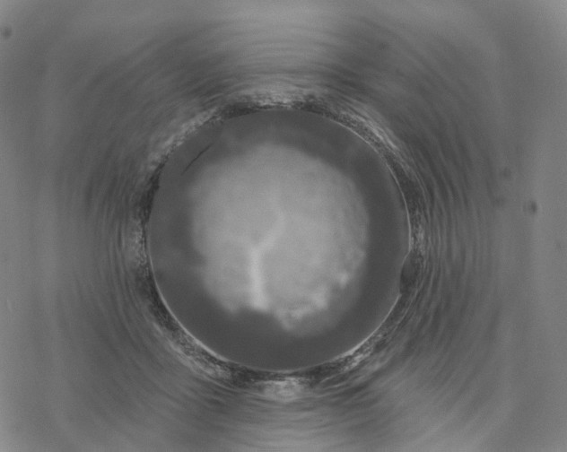 X0000076420411200610271713