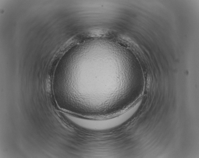 X0000076420413200610271713