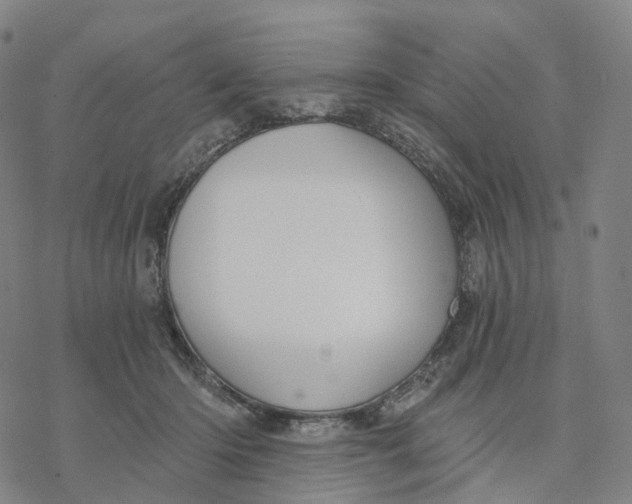 X0000076420414200610271713