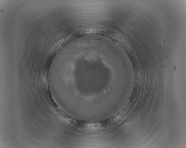 X0000076420415200610271713