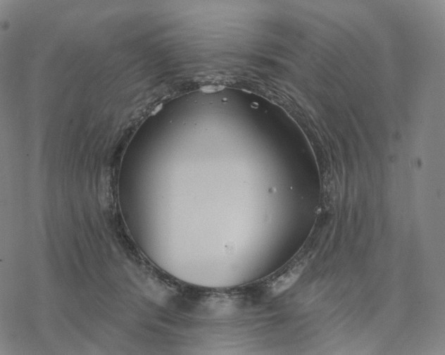 X0000076420416200610271713