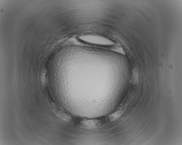 X0000076420417200610271713