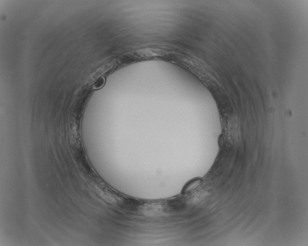 X0000076420418200610271713