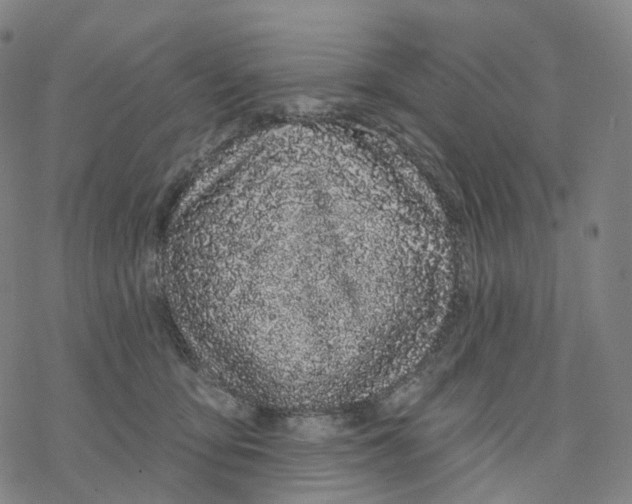 X0000076420419200610271713