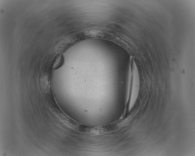 X0000076420420200610271713