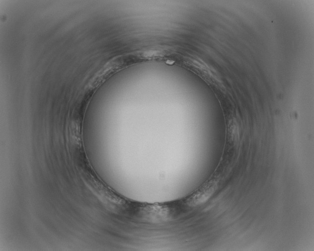 X0000076420421200610271713