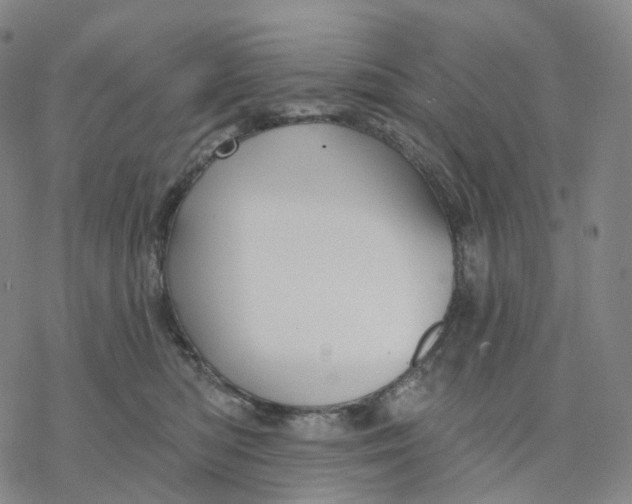 X0000076420422200610271713