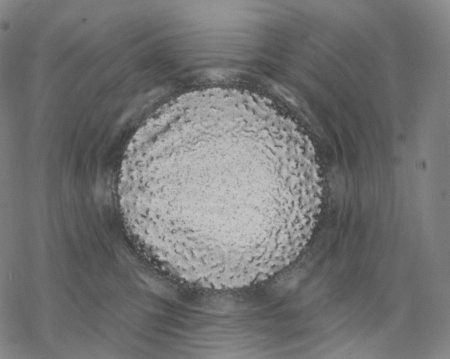 X0000076420423200610271713