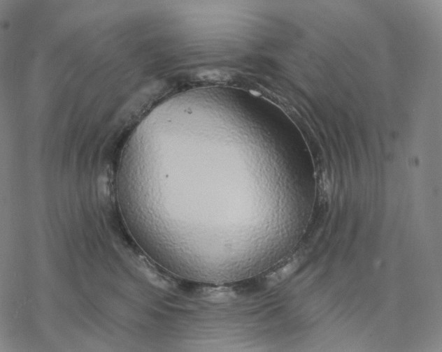 X0000076420424200610271713