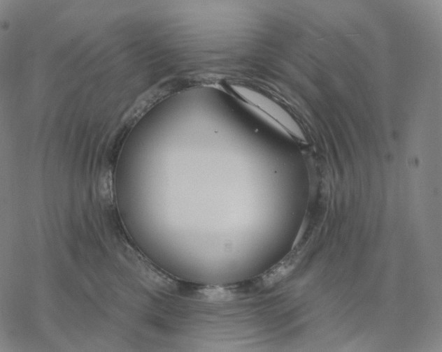 X0000076420425200610271713