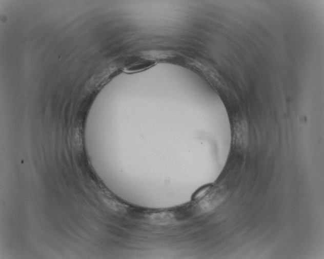 X0000076420426200610271713