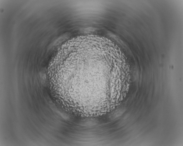 X0000076420427200610271713