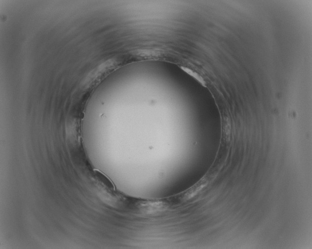 X0000076420428200610271713