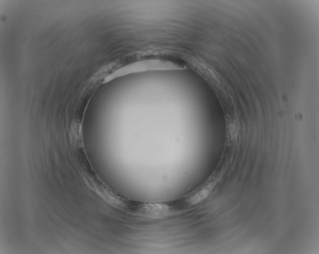 X0000076420429200610271713