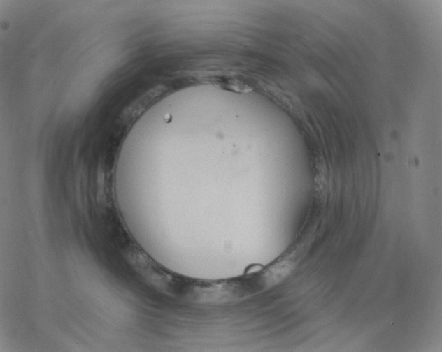 X0000076420430200610271713