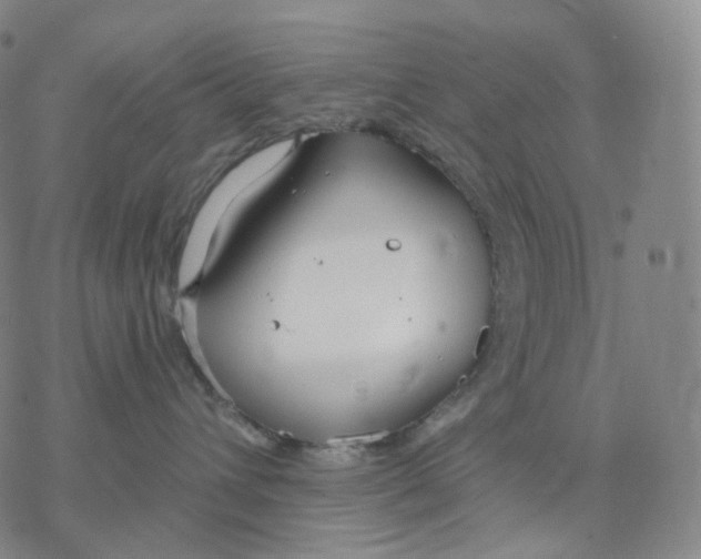 X0000076420432200610271713