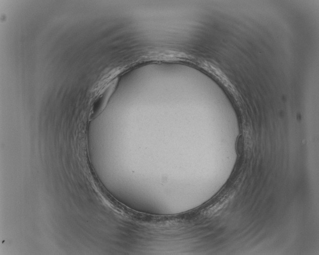 X0000076420433200610271712