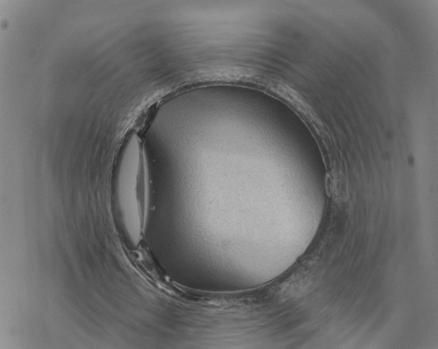 X0000076420434200610271712