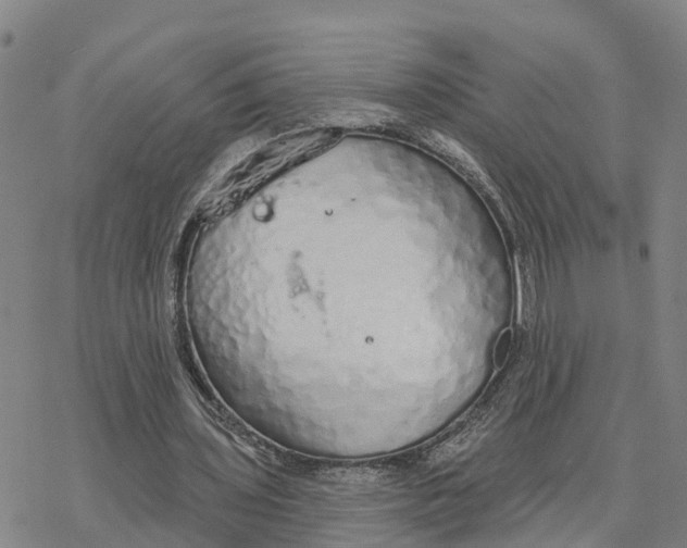 X0000076420435200610271712