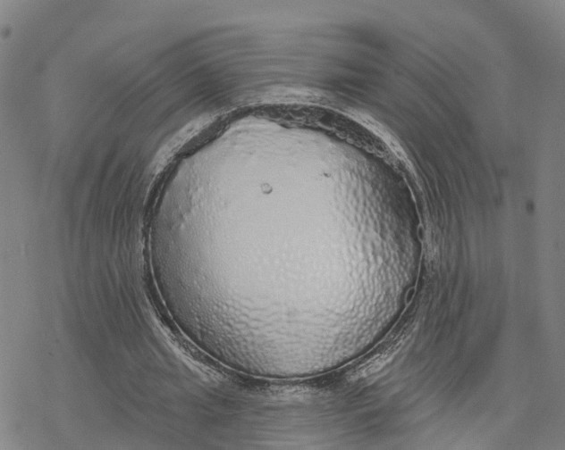 X0000076420437200610271712