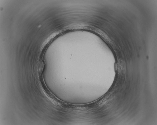 X0000076420438200610271712