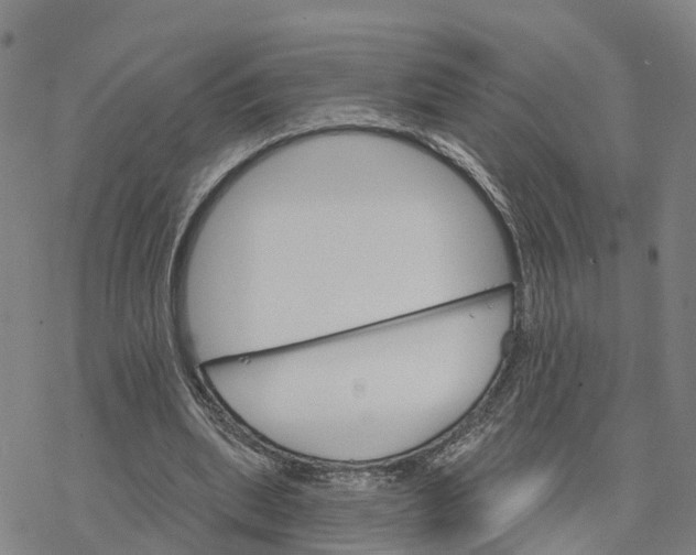 X0000076420439200610271712