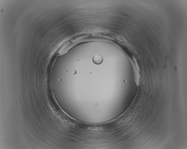 X0000076420440200610271712