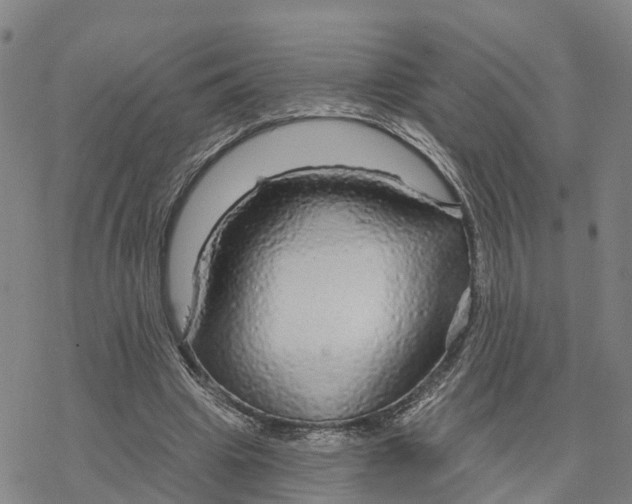 X0000076420441200610271712