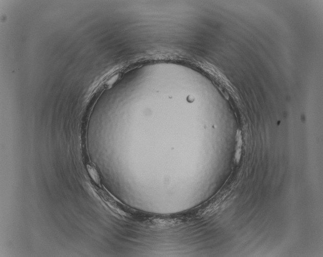 X0000076420442200610271712