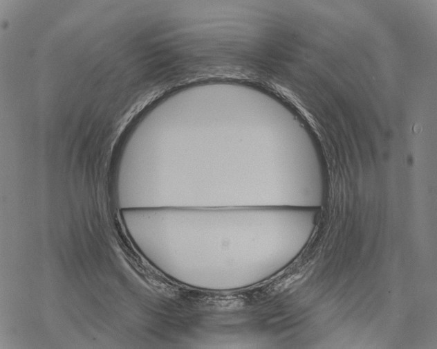 X0000076420443200610271712