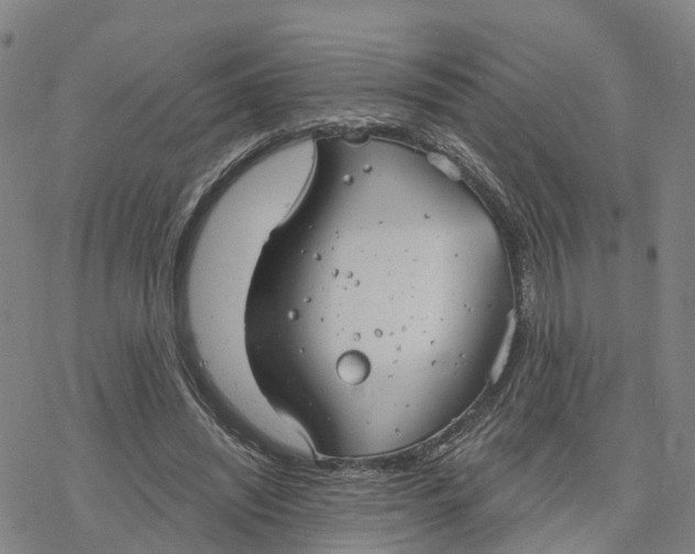 X0000076420444200610271712